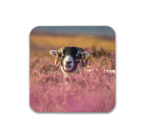 To buy a print or any of the below please click on the images